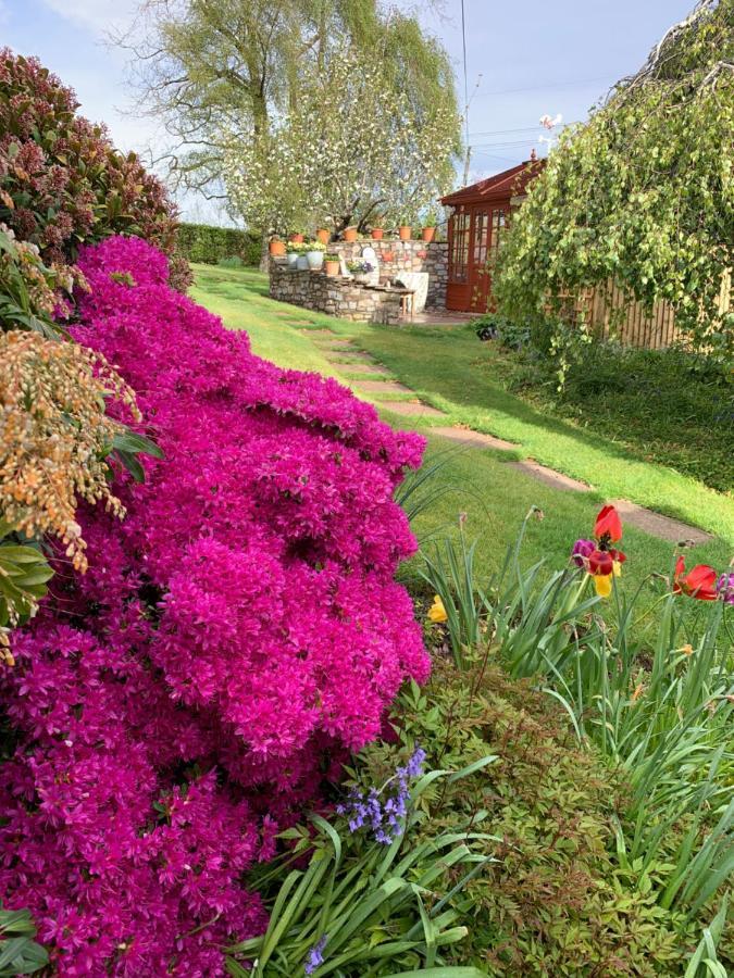 أبرجافني Llanwenarth Cottage A Beautiful Place To Just Be. المظهر الخارجي الصورة