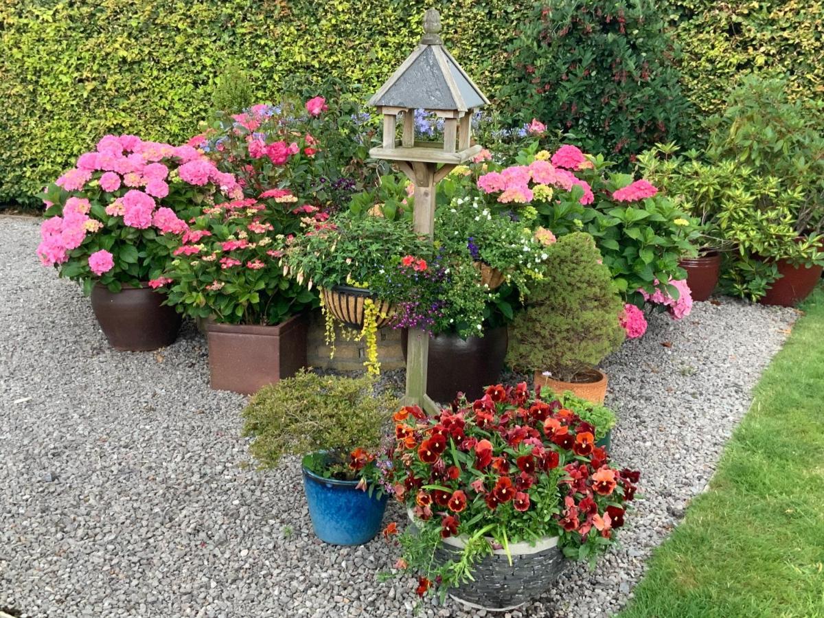 أبرجافني Llanwenarth Cottage A Beautiful Place To Just Be. المظهر الخارجي الصورة