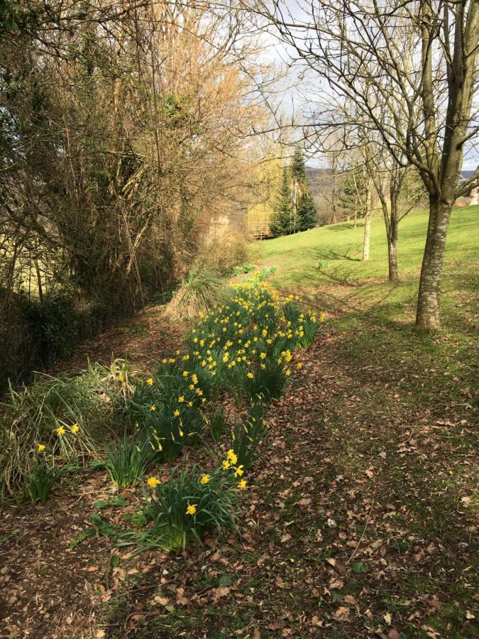 أبرجافني Llanwenarth Cottage A Beautiful Place To Just Be. المظهر الخارجي الصورة