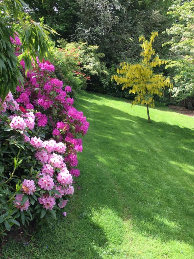 أبرجافني Llanwenarth Cottage A Beautiful Place To Just Be. المظهر الخارجي الصورة