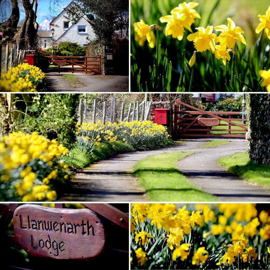 أبرجافني Llanwenarth Cottage A Beautiful Place To Just Be. المظهر الخارجي الصورة